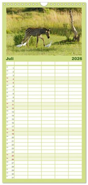 Produktbild: Familienplaner 2026 - Zebras - Faszination der Wildnis mit 5 Spalten (Wandkalender, 21 x 45 cm) CALVENDO