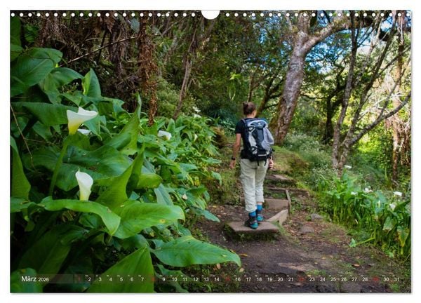 Produktbild: La R&eacute;union - Impressionen von Rolf Dietz (Wandkalender 2026 DIN A3 quer), CALVENDO Monatskalender