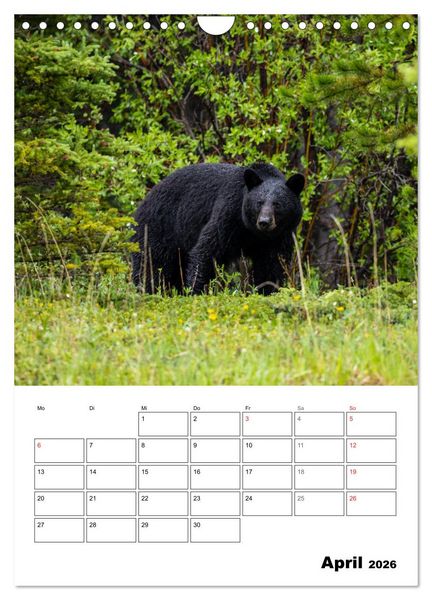 Produktbild: Mein Sch&ouml;nes Kanada (Wandkalender 2026 DIN A4 hoch), CALVENDO Monatskalender