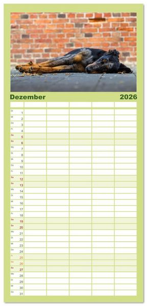 Produktbild: Familienplaner 2026 - Der Beauceron mit 5 Spalten (Wandkalender, 21 x 45 cm) CALVENDO