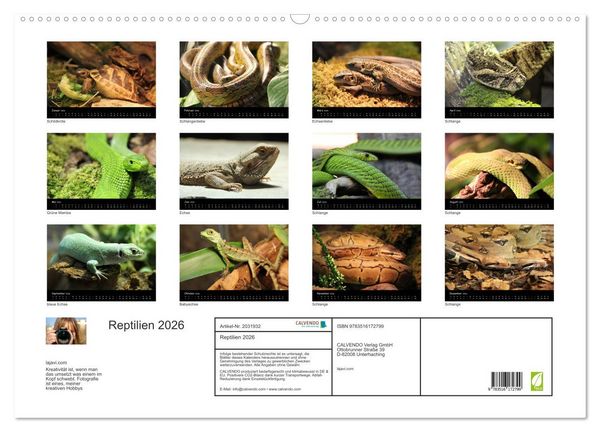 Produktbild: Reptilien 2026 (Wandkalender 2026 DIN A2 quer), CALVENDO Monatskalender