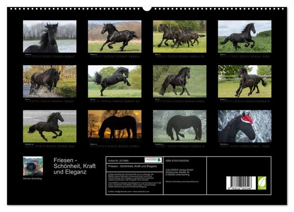 Produktbild: Friesen - Sch&ouml;nheit, Kraft und Eleganz (hochwertiger Premium Wandkalender 2026 DIN A2 quer), Kunstdruck in Hochglanz