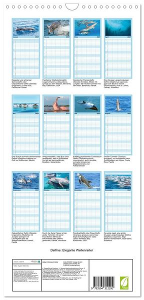 Produktbild: Familienplaner 2027 - Delfine: Elegante Wellenreiter mit 5 Spalten (Wandkalender, 21 x 45 cm) CALVENDO