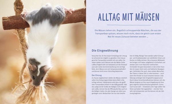 Produktbild: M&auml;use