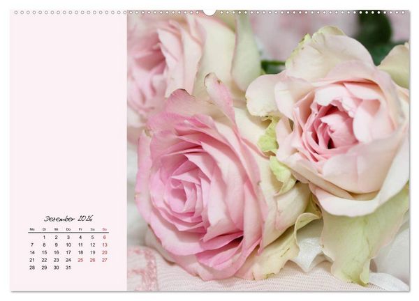 Produktbild: Rosen. Charmante und edle K&ouml;niginnen (hochwertiger Premium Wandkalender 2026 DIN A2 quer), Kunstdruck in Hochglanz