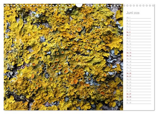 Produktbild: Abstrakte Umwelt (Wandkalender 2026 DIN A3 quer), CALVENDO Monatskalender