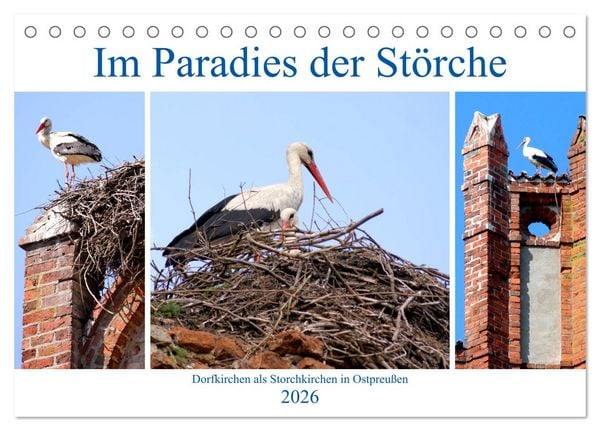 Produktbild: Im Paradies der St&ouml;rche - Dorfkirchen als Storchkirchen in Ostpreu&szlig;en (Tischkalender 2026 DIN A5 quer), CALVENDO Monatskalender