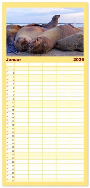 Produktbild: Familienplaner 2026 - Entdecke Galapagos mit 5 Spalten (Wandkalender, 21 x 45 cm) CALVENDO