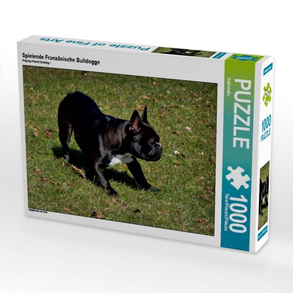 CALVENDO Puzzle Spielende Französische Bulldogge | 1000 Teile Lege-Größe 64x48cm Foto-Puzzle für glückliche Stunden