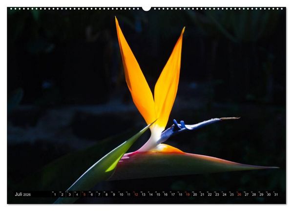 Produktbild: Hawai'i - Teil 2 (Wandkalender 2026 DIN A2 quer), CALVENDO Monatskalender