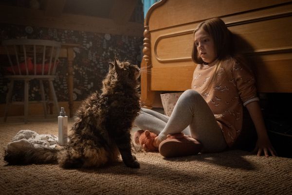Produktbild: Friedhof der Kuscheltiere (4K Ultra HD) (+ Blu-ray 2D)