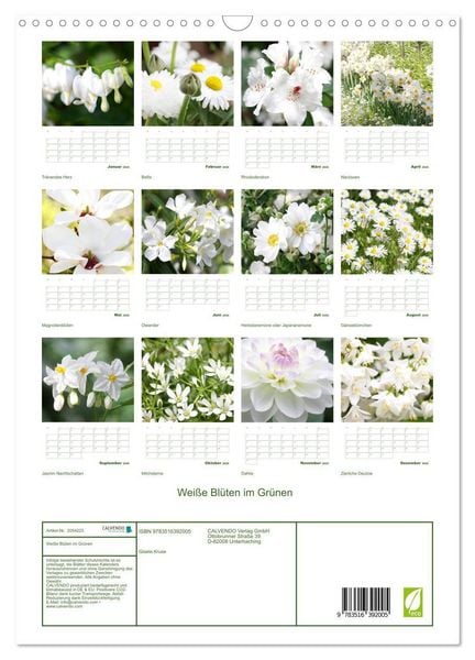 Produktbild: Wei&szlig;e Bl&uuml;ten im Gr&uuml;nen (Wandkalender 2026 DIN A3 hoch), CALVENDO Monatskalender