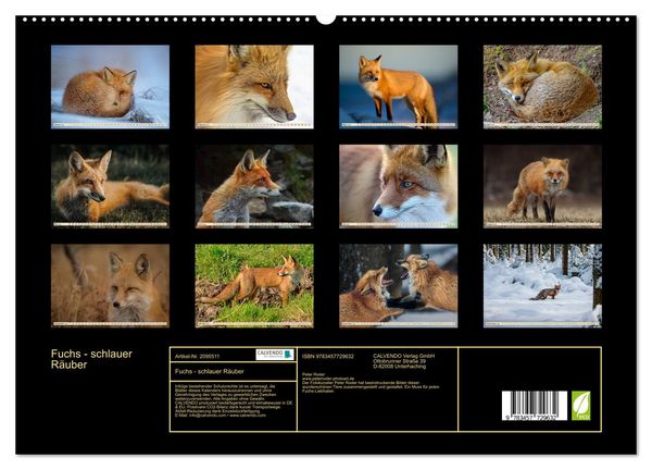 Produktbild: Fuchs - schlauer R&auml;uber (hochwertiger Premium Wandkalender 2026 DIN A2 quer), Kunstdruck in Hochglanz