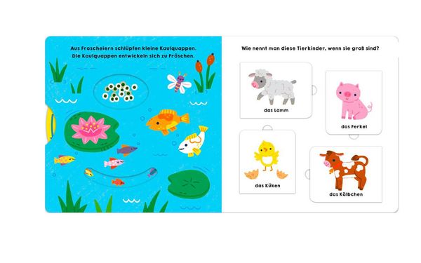 Produktbild: Gl&uuml;cksfisch: Alles w&auml;chst!