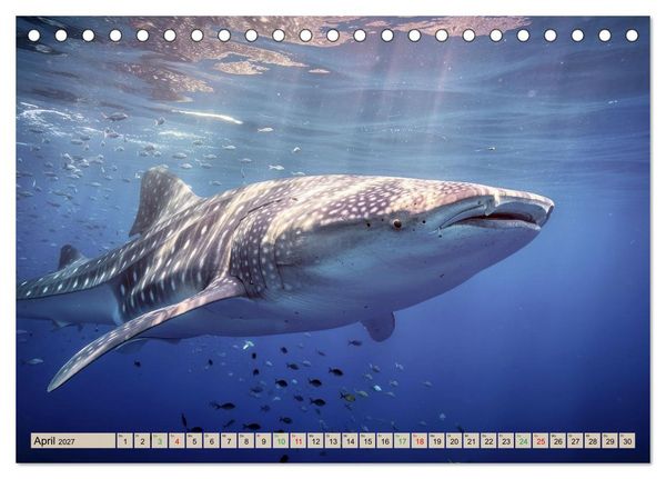 Produktbild: Gro&szlig;tiere - Weltweit (Tischkalender 2027 DIN A5 quer), CALVENDO Monatskalender