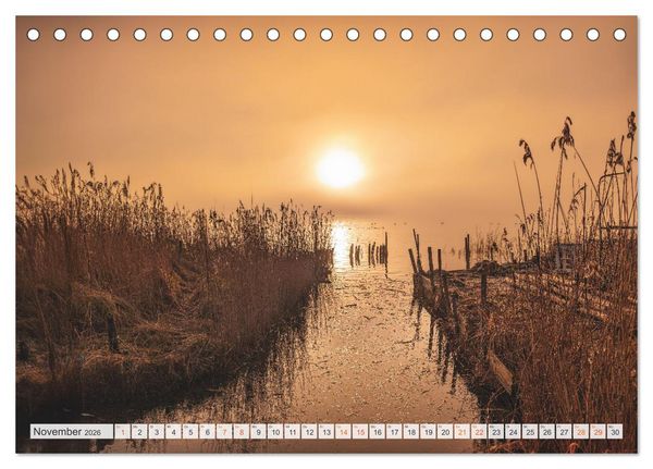 Produktbild: R&uuml;genliebe 2026 (Tischkalender 2026 DIN A5 quer), CALVENDO Monatskalender