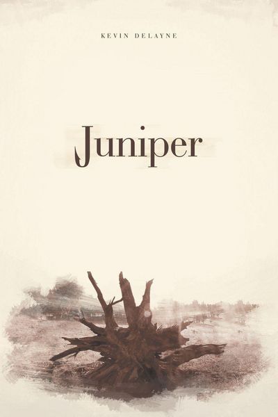 Produktbild: Juniper