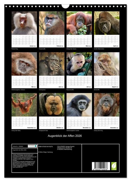 Produktbild: Augenblick der Affen 2026 (Wandkalender 2026 DIN A3 hoch), CALVENDO Monatskalender