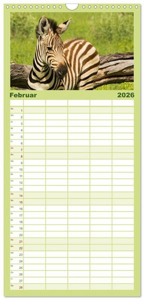 Produktbild: Familienplaner 2026 - Zebras - Faszination der Wildnis mit 5 Spalten (Wandkalender, 21 x 45 cm) CALVENDO