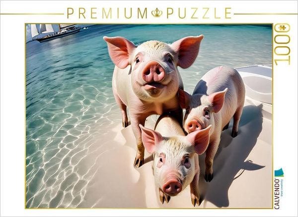 CALVENDO Puzzle Niedliche Ferkel im schneeweißen Sand von Pig Beach | 1000 Teile Lege-Größe 64x48cm Foto-Puzzle für glüc