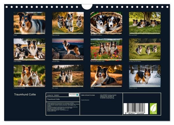 Produktbild: Traumhund Collie (Wandkalender 2026 DIN A4 quer), CALVENDO Monatskalender