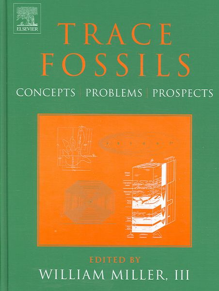 Produktbild: Trace Fossils