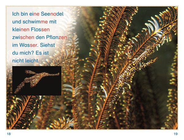 Produktbild: SUPERLESER! Tiere, top getarnt