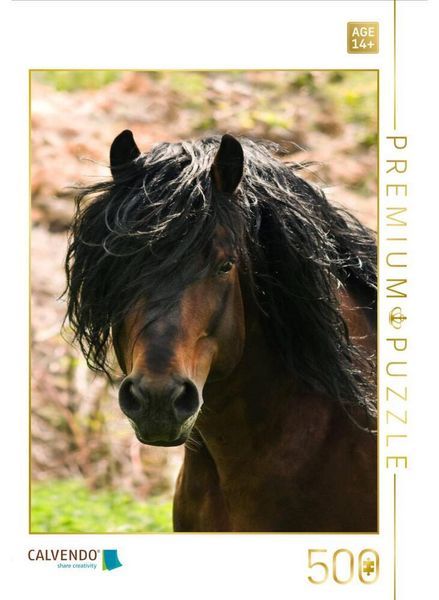 CALVENDO Puzzle Schwarzwälder Kaltbluthengst im Portrait | 500 Teile Lege-Größe 48 × 36 cm Foto-Puzzle für Erwachsene