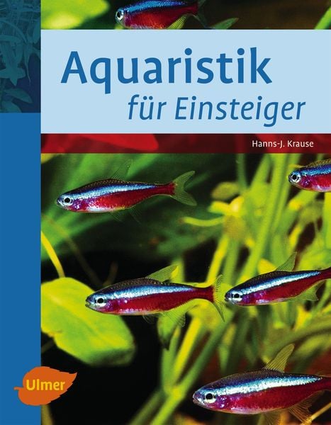 Aquaristik für Einsteiger, Gebundene Ausgabe von Hanns-J. Krause, Verlag Eugen Ulmer