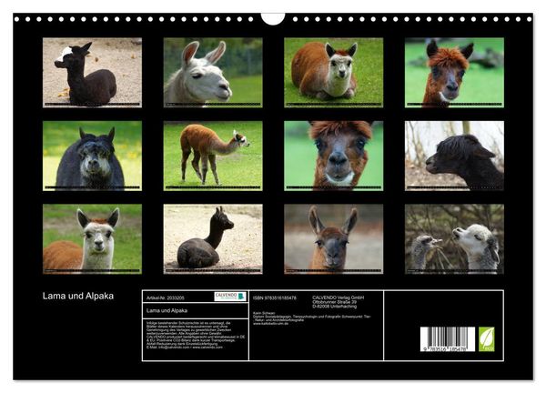 Produktbild: Lama und Alpaka (Wandkalender 2026 DIN A3 quer), CALVENDO Monatskalender