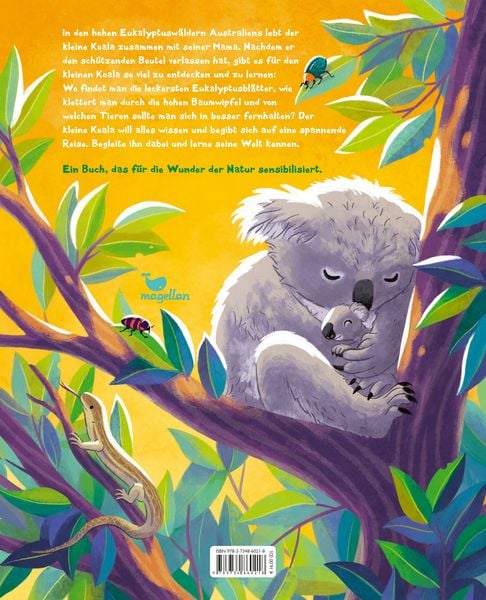Produktbild: Der kleine Koala - Zu Hause im Eukalyptus