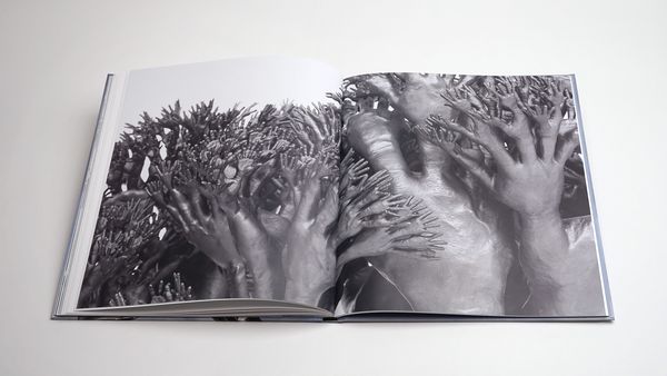 Produktbild: Tony Cragg: Points of View