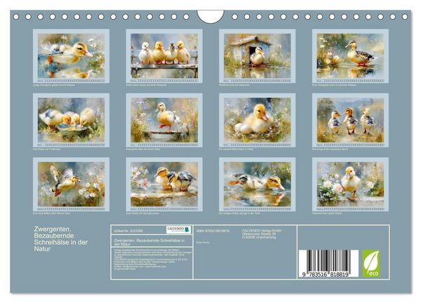 Produktbild: Zwergenten. Bezaubernde Schreih&auml;lse in der Natur (Wandkalender 2027 DIN A4 quer), CALVENDO Monatskalender