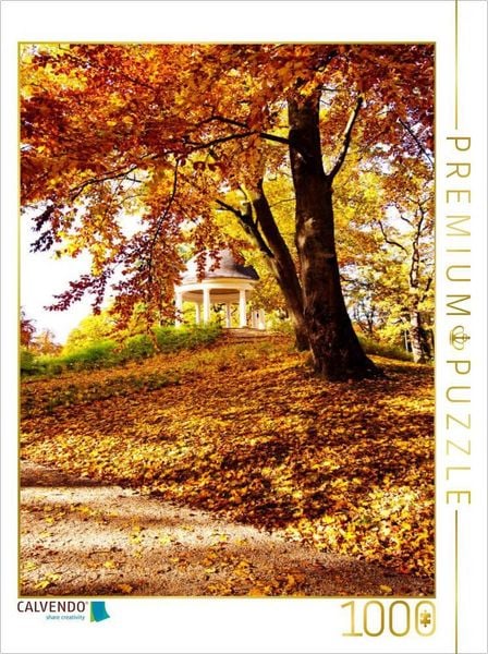 CALVENDO Puzzle SCHÖNES SCHWERIN | 1000 Teile Lege-Größe 64x48cm Foto-Puzzle für glückliche Stunden
