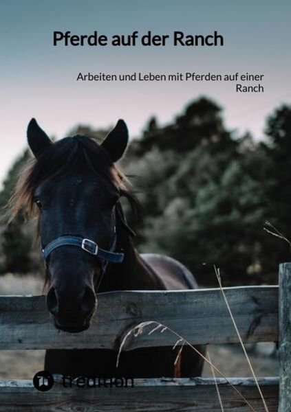Pferde auf der Ranch, Taschenbuch von Moritz, Tredition, 9783347856523