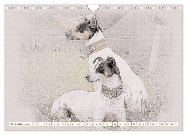Produktbild: Bodeguero Andaluz 2026 (Wandkalender 2026 DIN A4 quer), CALVENDO Monatskalender