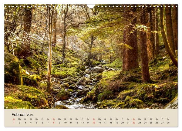 Produktbild: Der Wald. Durch zauberhafte Waldlandschaften (Wandkalender 2026 DIN A3 quer), CALVENDO Monatskalender