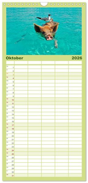 Produktbild: Familienplaner 2026 - Lustig und verr&uuml;ckt - der ganz andere Tierkalender mit 5 Spalten (Wandkalender, 21 x 45 cm) CALVENDO