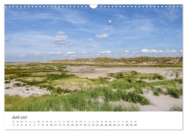 Produktbild: Amrum: Natur und Freiheit (Wandkalender 2027 DIN A3 quer), CALVENDO Monatskalender