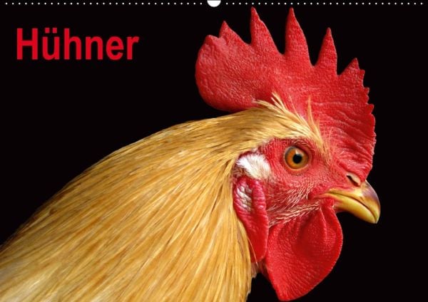 Produktbild: H&uuml;hner / Geburtstagskalender (Wandkalender immerw&auml;hrend DIN A2 quer)