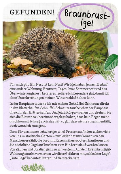 Produktbild: Tierische Wohnung gesucht - Welches Tier zieht hier ein?