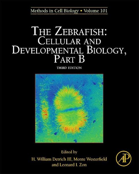 Produktbild: The Zebrafish: Cellular and Developmental Biology, Part B