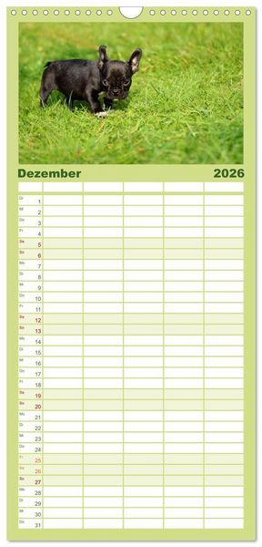 Produktbild: Familienplaner 2026 - Franz&ouml;sische Bulldoggen mit 5 Spalten (Wandkalender, 21 x 45 cm) CALVENDO