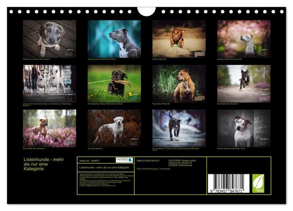 Produktbild: Listenhunde - mehr als nur eine Kategorie (Wandkalender 2026 DIN A4 quer), CALVENDO Monatskalender
