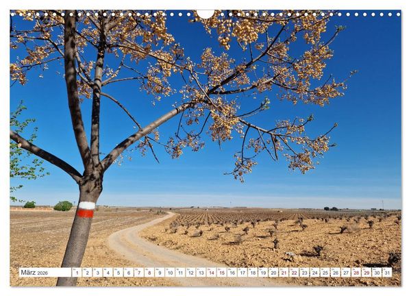 Produktbild: Camino Levante - magische Momente auf stillen Wegen (Wandkalender 2026 DIN A3 quer), CALVENDO Monatskalender