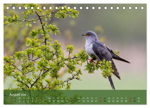 Produktbild: Kuckuck,Kuckuck,rufts aus dem Wald (Tischkalender 2026 DIN A5 quer), CALVENDO Monatskalender