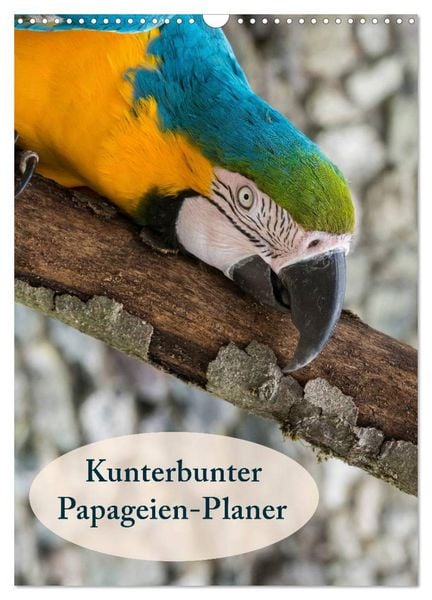 Produktbild: Kunterbunter Papageien-Planer (Wandkalender 2026 DIN A3 hoch), CALVENDO Monatskalender