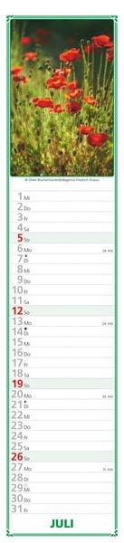Produktbild: Paules Gartenplaner 2026 - Streifenplaner - Wandplaner - Küchen-Kalender - 11,3x49,5