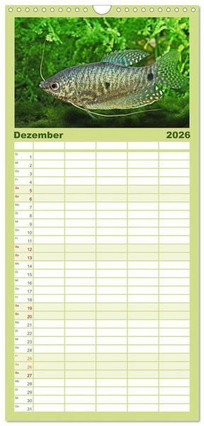 Produktbild: Familienplaner 2026 - Beliebte Fische der Welt mit 5 Spalten (Wandkalender, 21 x 45 cm) CALVENDO