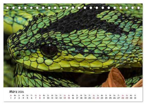 Produktbild: Mythos Schlangen (Tischkalender 2026 DIN A5 quer), CALVENDO Monatskalender
